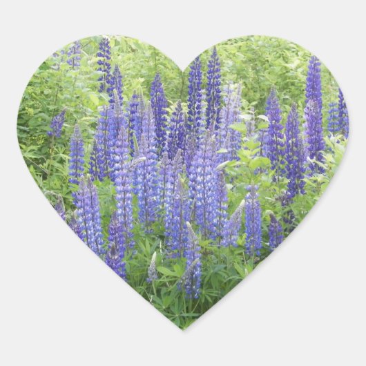 Wild Lupine Hart Sticker (Voorkant)