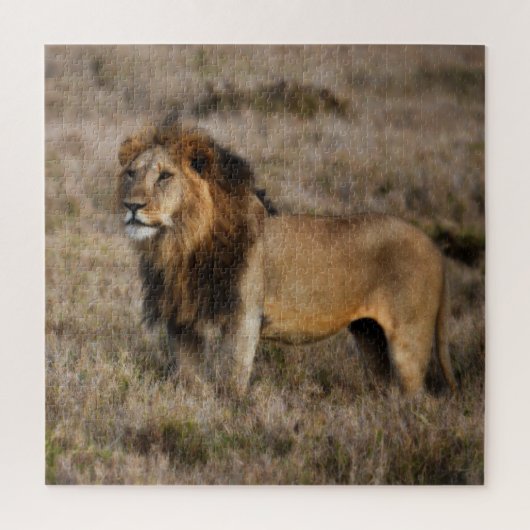 Wild Male African Lion Legpuzzel (Verticaal)