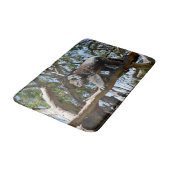 Wild Male Australian Koala Walking, Memory Foam Badmat (Gekanteld)