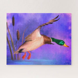 Wild Mallard Duck Puzzel
