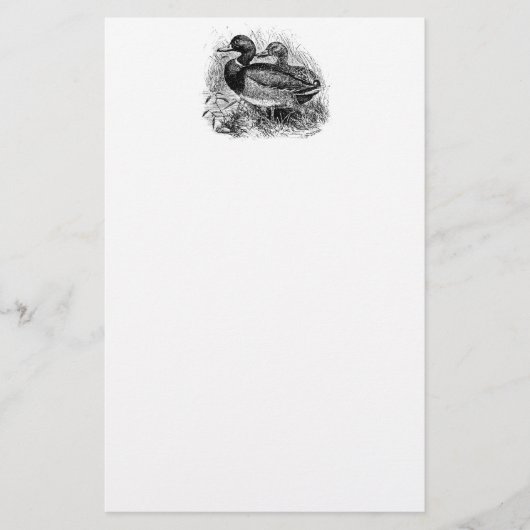 Wild Mallard Ducks Persoonlijke Sjabloon Briefpapier (Voorkant)