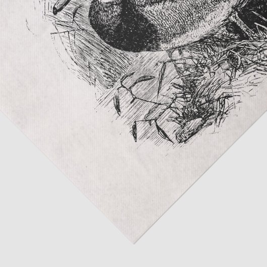  Wild Mallard Ducks Persoonlijke Sjabloon Tissuepapier (Detail)