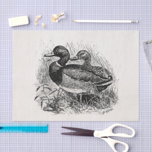 Wild Mallard Ducks Persoonlijke Sjabloon Tissuepapier (Craft)