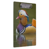 Wild Mandarin Duck Aix galericulata on dark Klembord (Rechts)