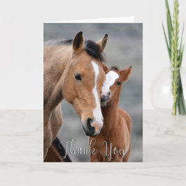 Wild Mare en Foal Foto Hartelijk dank Bedankkaart