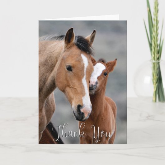 Wild Mare en Foal Foto Hartelijk dank Bedankkaart (Voorkant)