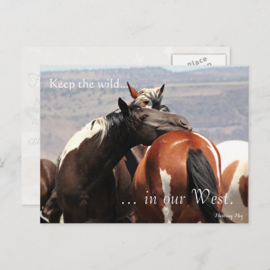 Wild Mare Hug, vooraf behandeld: Sec of the Interi Briefkaart (Voorkant / Achterkant)