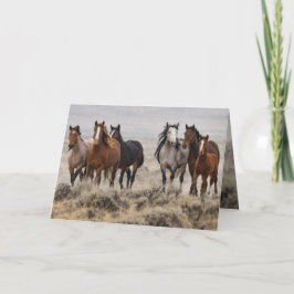 "Wild Mares and Foal on the Move"