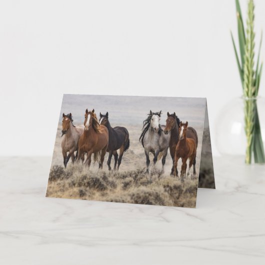 "Wild Mares and Foal on the Move" (Voorkant)