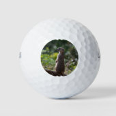 Wild Meerkat Golfballen (Voorkant)