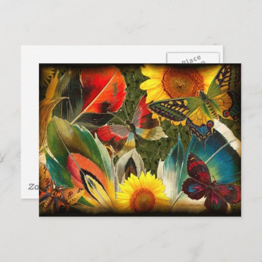 Wild met een rand briefkaart (Voorkant / Achterkant)