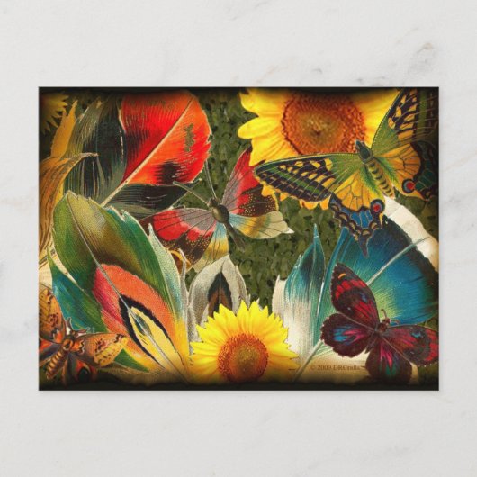 Wild met een rand briefkaart (Voorkant)