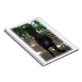 "Wild Mintaka!" Notitieboek (Rechterzijde)