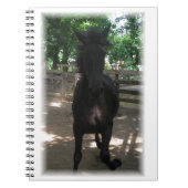 "Wild Mintaka!" Notitieboek (Voorkant)