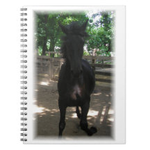 "Wild Mintaka!" Notitieboek