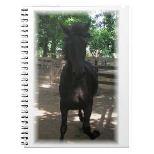 "Wild Mintaka!" Notitieboek