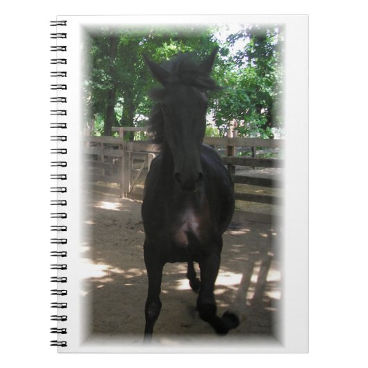 "Wild Mintaka!" Notitieboek (Voorkant)