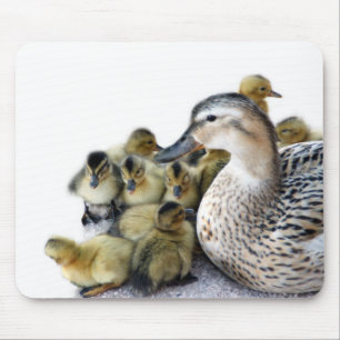 Wild Moeder Duck en Ducklings Muismat