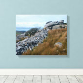 Wild Moors Bodmin Moor Cornwall England Canvas Afdruk (Insitu (Houten vloer))