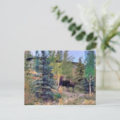 Wild Moose in Wyoming Briefkaart (Staand voorkant)
