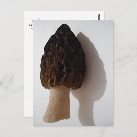 Wild Morel Mushroom Briefkaart (Voorkant / Achterkant)