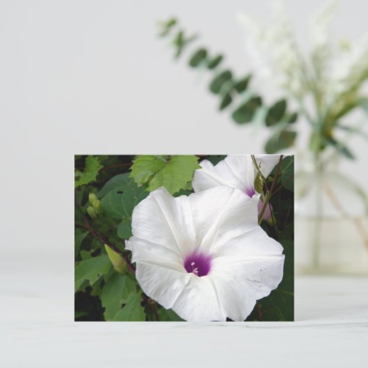 Wild Morning Glory-2010 Briefkaart (Staand voorkant)