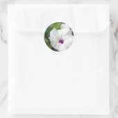 Wild Morning Glory-2010 Ronde Sticker (Tas)