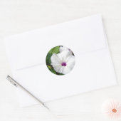 Wild Morning Glory-2010 Ronde Sticker (Envelop)