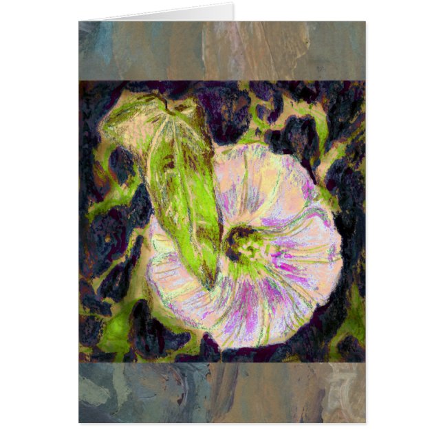 Wild Morning Glory door Alexandra Cook (Voorkant)