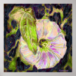 Wild Morning Glory door Alexandra Cook Poster