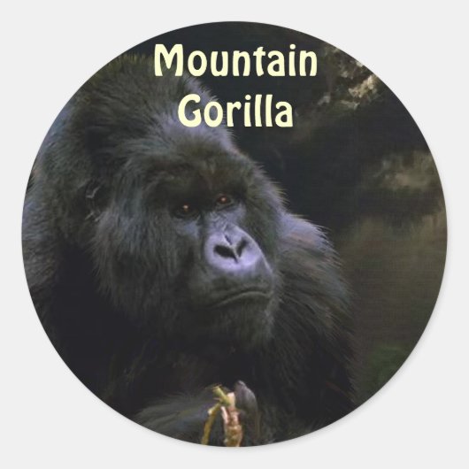 Wild Mountain Gorilla Primate Stickers (Voorkant)