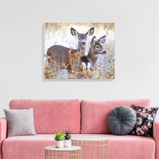 Wild Mule Deer Pair | Californië Canvas Afdruk (Insitu (Woonkamer))