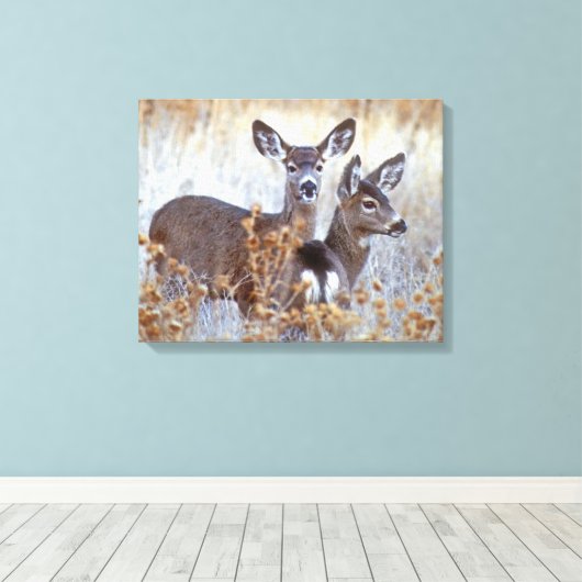 Wild Mule Deer Pair | Californië Canvas Afdruk (Insitu (Houten vloer))