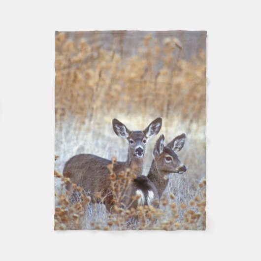 Wild Mule Deer Pair | Californië Fleece Deken (Voorkant)