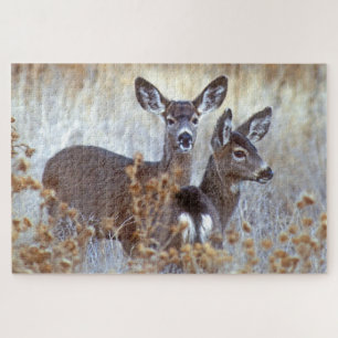 Wild Mule Deer Pair   Californië Legpuzzel