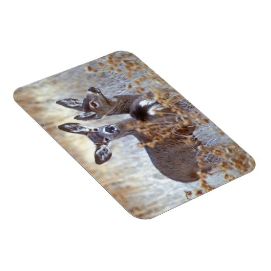 Wild Mule Deer Pair | Californië Magneet (Rechterzijde)