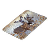 Wild Mule Deer Pair | Californië Magneet (Linkerzijde)