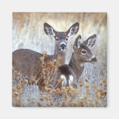 Wild Mule Deer Pair | Californië Magneet (Voorkant)