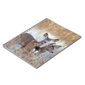 Wild Mule Deer Pair | Californië Notitieboek (Linkerzijde)