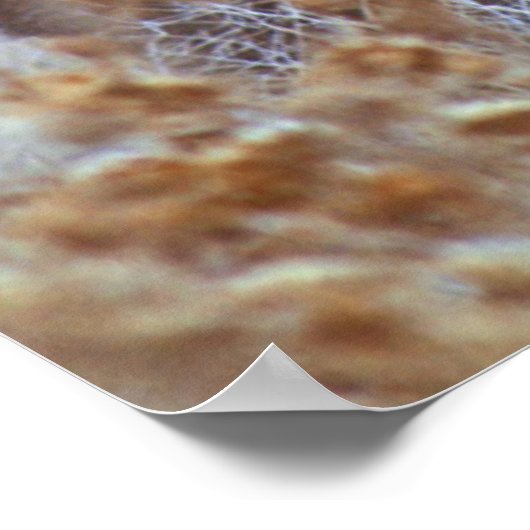 Wild Mule Deer Pair | Californië Poster (Hoek)