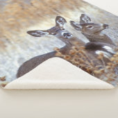 Wild Mule Deer Pair | Californië Sherpa Deken (3/4)