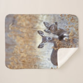 Wild Mule Deer Pair | Californië Sherpa Deken (Voorkant (horizontaal))