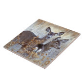 Wild Mule Deer Pair | Californië Tegeltje (Zijkant)