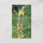Wild Mullein Flower Photography Visitekaartje (Achterkant)