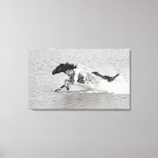 Wild Mundoo Jet Ski Canvas Afdruk