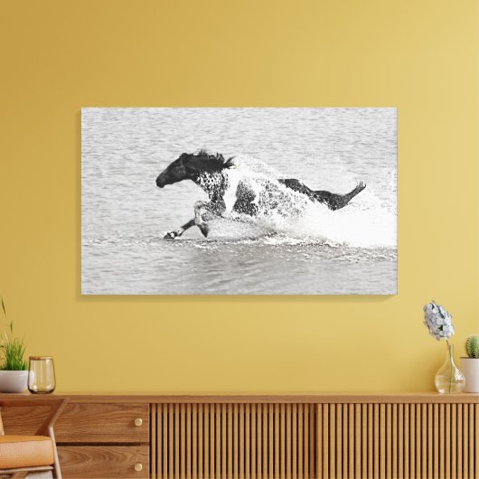 Wild Mundoo Jet Ski Canvas Afdruk (Insitu (Woonkamer))