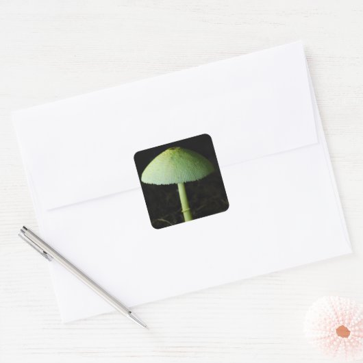Wild Mushroom Photo  Vierkante Sticker (Envelop)