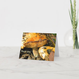 Wild Mushrooms Note Kaart