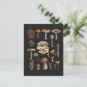 Wild Mushrooms on graphite black Briefkaart (Staand voorkant)