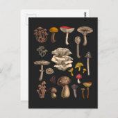 Wild Mushrooms on graphite black Briefkaart (Voorkant / Achterkant)